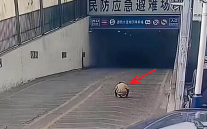 Ông nội đón cháu trai tan học nhưng lại không về thẳng nhà, camera ghi lại khoảnh khắc kinh hoàng