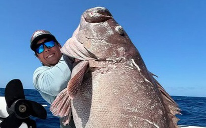 Ngư dân Florida câu được cá mú khổng lồ ở vùng nước sâu