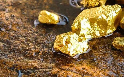 Việt Nam có những mỏ vàng nào?