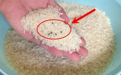Gạo để trong nhà bị mọt mối tấn công? Đừng hoảng, thử 4 cách này chẳng sợ con gì bò vào