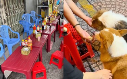 3 dấu hiệu nhận biết quán ăn ngon ở Việt Nam khiến dân mạng gật gù, dấu hiệu thứ 2 từng khiến khách Tây phấn khích
