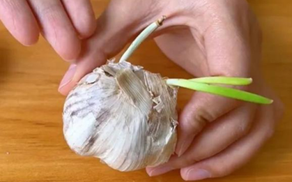 5 thực phẩm "dinh dưỡng vơi một nửa", thậm chí sinh chất độc khi nảy mầm, nhà nào cũng có và rất hay để quên