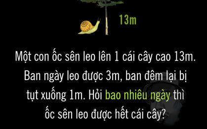 Ốc sên mất bao nhiêu ngày để leo hết cái cây 13m?