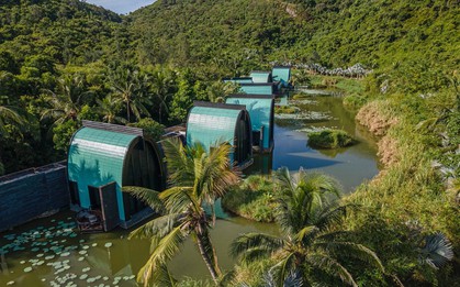 Việt Nam bất ngờ dẫn đầu danh sách tìm kiếm trên toàn cầu vì một xu hướng du lịch mới đang lên ngôi