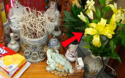 ĐỪNG dại đặt 5 loài hoa này lên bàn thờ, dân gian kỵ vì dễ rước xui vào nhà, "mất lộc" lúc nào không hay