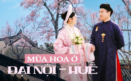 Huế lại khiến du khách "tuyệt đối ngẩn ngơ" với mùa hoa phủ hồng Đại Nội: Đi đi em, còn do dự là hết đó!