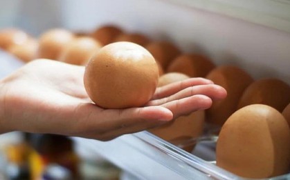 Cất trứng trong tủ lạnh kiểu này khác nào "nuôi cấy" vi khuẩn, kéo sức khỏe cả gia đình đi xuống
