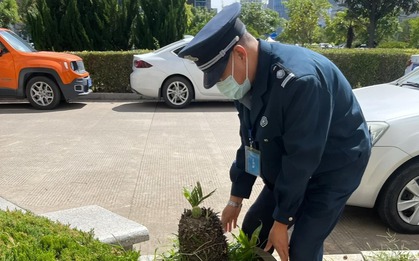 Bác bảo vệ "gây sốt" toàn cõi mạng vì 1 hành động tử tế, dân tình rần rần: Xứng đáng tăng lương!