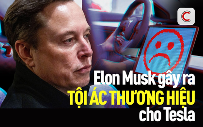 Elon Musk đang kéo Tesla xuống vực: Từ niềm tự hào xe điện xanh đến ‘vết nhơ thương hiệu’, nguy cơ mất vĩnh viễn 10% nhu cầu