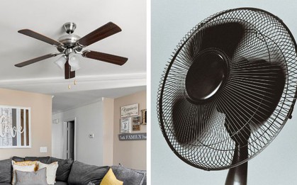 Dùng quạt trần hay quạt cây tốn điện hơn, đây là câu trả lời