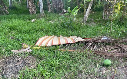 Đánh chết bạn nhậu rồi khiêng thi thể bỏ sang vườn người khác