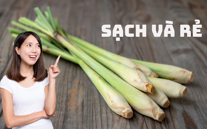 Chỉ 10.000 đồng, góc bếp nhà tôi hết sạch mùi dầu mỡ "quẩn quanh" bao năm, ai cũng phải thốt lên: Thần kì quá!