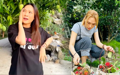 Thú vui đặc biệt của Mỹ Tâm: Trong nhà nữ ca sĩ có gì mà mới "flex nhẹ" đã khiến dân tình trầm trồ?