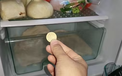 Đặt một đồng xu vào tủ lạnh trước khi đi chơi xa, tôi yên tâm bảo vệ sức khỏe cả nhà