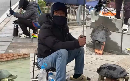 Rùa trong sách Đỏ bán tràn lan ở vỉa hè Hà Nội