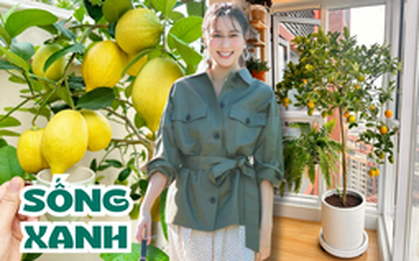 Người mệnh nào nên trồng cây chanh vàng?