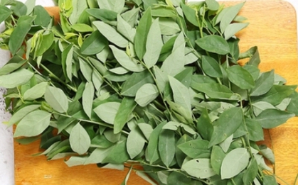 Loại rau chỉ vài nghìn đồng lại chứa lượng vitamin C hơn cam, chanh