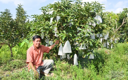 Chuyên trang Anh đánh giá đây là thực phẩm tốt nhất thế giới: Việt Nam trồng nhiều, năng suất cao bất ngờ