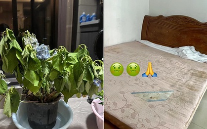 Dù giàu hay nghèo, nếu có 7 thứ này trong nhà bạn cần phải "tiễn" chúng ngay!
