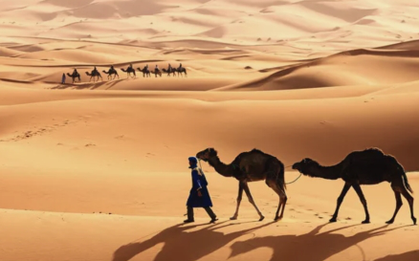 Xác ướp tiết lộ bí mật về quá khứ của sa mạc Sahara