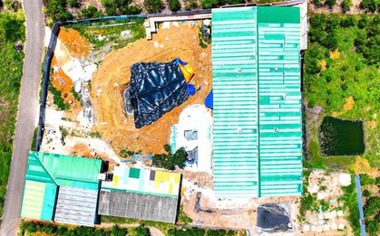 Người dân Bảo Lộc kêu trời vì trại heo bốc mùi kinh khủng trong khu dân cư