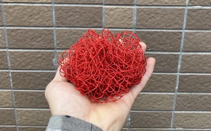 Chúng ta dùng mớ rửa bát để rửa bát, vậy lấy gì để rửa cái mớ rửa bát bây giờ, khi mỗi centimet vuông trên đó có tới 54 tỷ vi khuẩn?