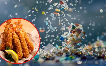 Món ăn giòn rụm, người Việt mê nhưng chứa nhiều vi nhựa bậc nhất: Chuyên gia nói "không có gì khó hiểu"