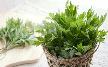 Loại rau được ví như "thuốc bổ" nhưng người bệnh thận chớ dại ăn