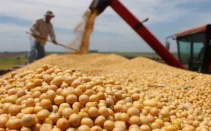 Hàng trăm nghìn tấn ‘hạt vàng’ từ Mỹ vừa đổ bộ Việt Nam giá siêu rẻ: Thuế nhập khẩu 0%, nước ta tiêu thụ đứng thứ 3 thế giới