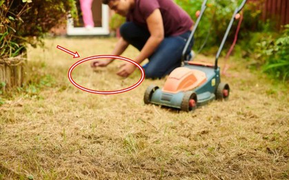 Đang cắt cỏ, người đàn ông đụng trúng vật thể lạ: Chuyên gia xem ảnh lập tức phong tỏa nguyên con phố