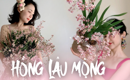 Loài hoa lạ mang tên "Hồng lâu mộng" gây sốt: Mỗi lần nở cả trăm bông, thơm ngào ngạt khắp nhà, người mệnh Thổ chắc chắn thích