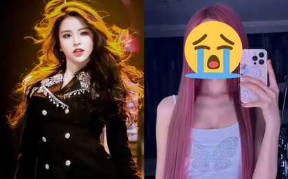 Xót xa tình cảnh của mỹ nhân Gen Z đẹp nhất nhì showbiz trước khi giải nghệ