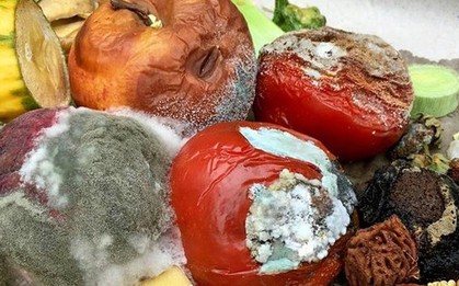 Thực phẩm mốc chỉ cần vứt bỏ hay cắt phần hỏng là vẫn dùng được? Những dấu hiệu nhận biết không phải ai cũng rõ