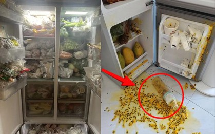Tủ lạnh xịn mấy cũng hóa "bom nổ chậm" nếu bỏ 5 thứ này vào, số 2 rất nhiều người mắc