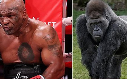 Giới võ thuật 'dậy sóng' vì 1 câu hỏi, Mike Tyson tuyên bố hùng hồn