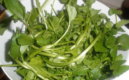 Việt Nam có loại rau chống ung thư tốt nhất thế giới, tốt cho sức khỏe tim mạch và xương khớp