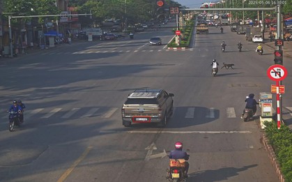 208 xe có biển số sau nhanh chóng nộp phạt nguội theo Nghị định 168