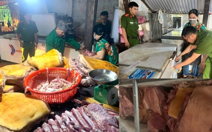 Tiêu hủy gần 800kg thịt heo ôi thiu, nhiễm dịch tả lợn châu Phi
