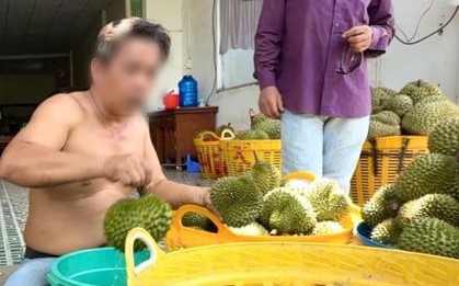 Nỗi oan sầu riêng 'nhúng thuốc'