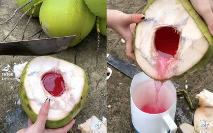 Loại quả mùa hè rẻ tiền có mặt khắp Việt Nam, không chỉ giải khát mà còn được ưa chuộng vì mát gan, thải độc