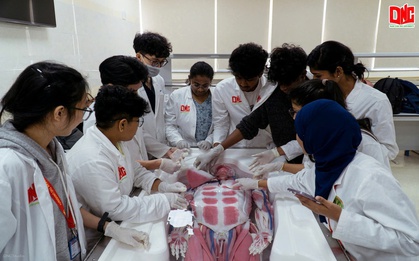 Trường Đại học Nam Cần Thơ mở rộng đào tạo các ngành học 100% tiếng Anh – Đáp ứng nhu cầu hội nhập quốc tế