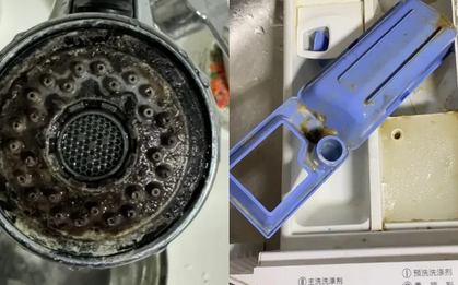 6 vật ngày nào cũng dùng dễ là ổ nấm mốc, bẩn kinh hoàng lại lăm le gây bệnh cho người