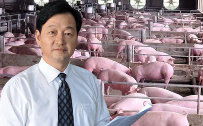Chỉ nuôi lợn, người đàn ông vào top 200 người giàu nhất thế giới: Quá trình bỏ phố khởi nghiệp khó tin