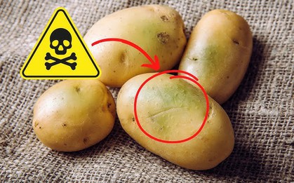 4 loại rau củ đầy độc tố, đã không bổ béo còn phá nội tạng, “cấu kết” với tế bào ung thư nhưng nhà nào cũng có