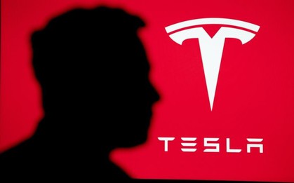 Sức mạnh của Elon Musk: Tuyên bố giảm bớt công việc ở Nhà Trắng để tập trung cho Tesla, cổ phiếu công ty tăng tới 32% chỉ sau 1 tháng