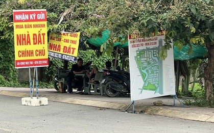 Giữ lô đất 10 năm không bán, giá tăng gấp 7 lần, nhà đầu tư này vẫn tự tin: “Tôi chờ thêm 10 năm nữa”