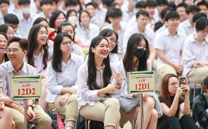 Học giỏi tiếng Anh nên chọn ngành nào để không lo thất nghiệp?