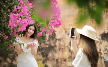 Du khách thích mê đường hoa giấy rực rỡ ở Nha Trang