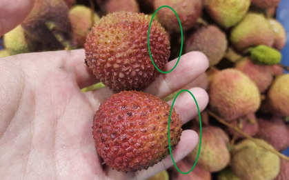 Mùa vải đến rồi, nhưng đừng vội mua nếu gặp 4 kiểu này - ai mua là tiếc đứt ruột!