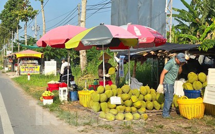 Sầu riêng 'rẻ như bèo' bán đầy đường